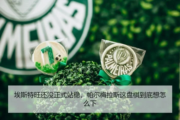 ai-si-te-wang-hai-mei-zheng-shi-zhan-wen-pa-er-mei-la-si-zhe-pan-qi-dao-di-xiang-zen-me-xia-2-825.jpg