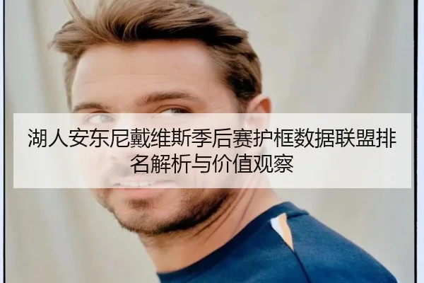 湖人安东尼戴维斯季后赛护框数据联盟排名解析与价值观察