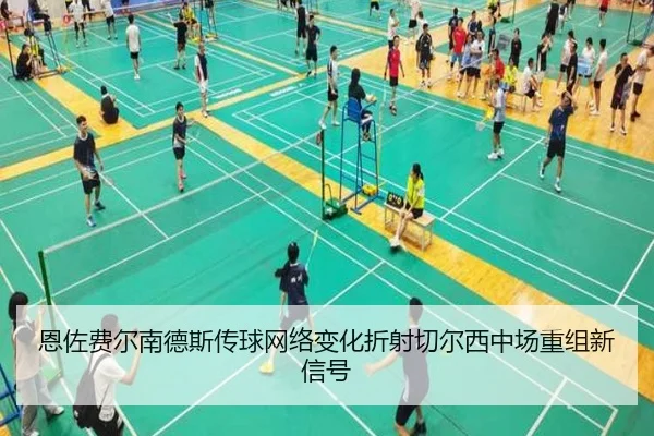 恩佐费尔南德斯传球网络变化折射切尔西中场重组新信号